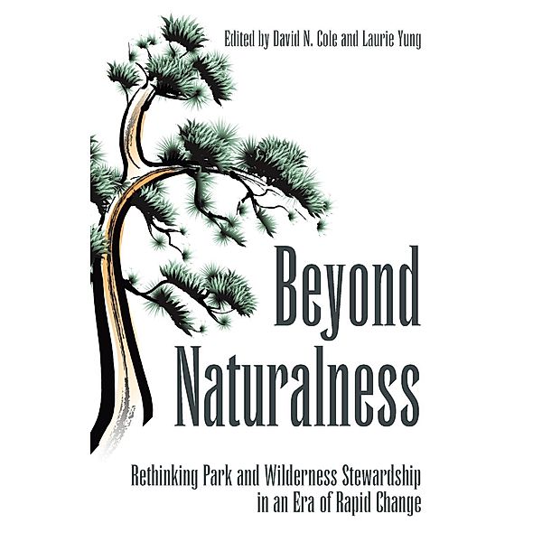 Beyond Naturalness, David N. Cole
