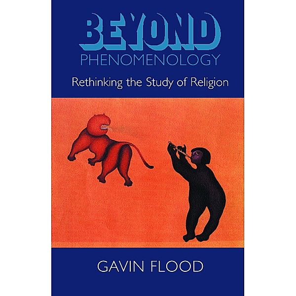 Beyond Phenomenology, Gavin Flood