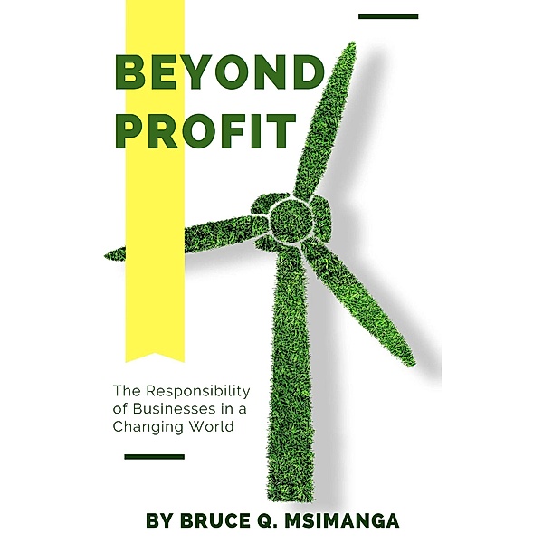 Beyond Profit: The Responsibility of Businesses in a Changing World, Bruce Q. Msimanga