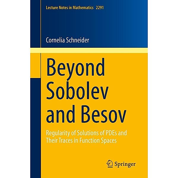 Beyond Sobolev and Besov / Lecture Notes in Mathematics Bd.2291, Cornelia Schneider