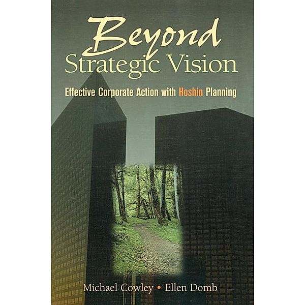 Beyond Strategic Vision, Michael Cowley, Ellen Domb