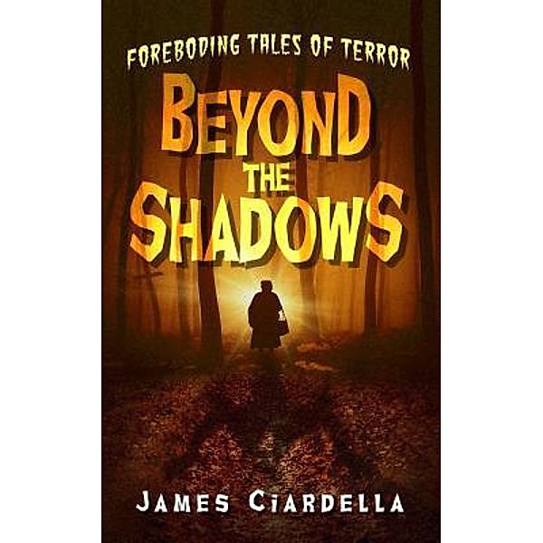 Beyond the Shadows / Beyond the Shadows Bd.1, James J Ciardella