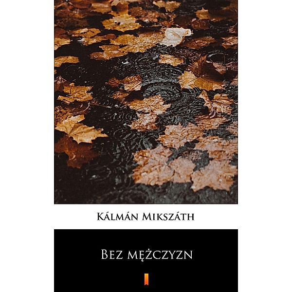 Bez mezczyzn, Kálmán Mikszáth