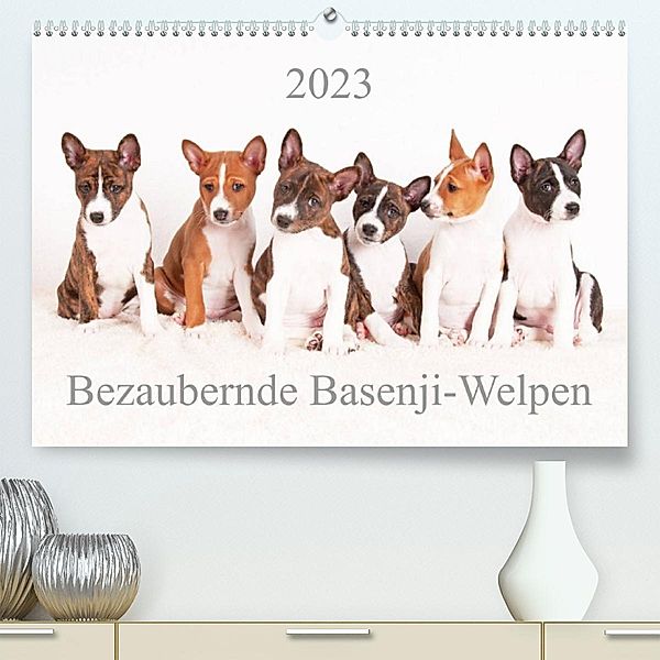 Bezaubernde Basenji-Welpen (Premium, hochwertiger DIN A2 Wandkalender 2023, Kunstdruck in Hochglanz), Angelika Joswig