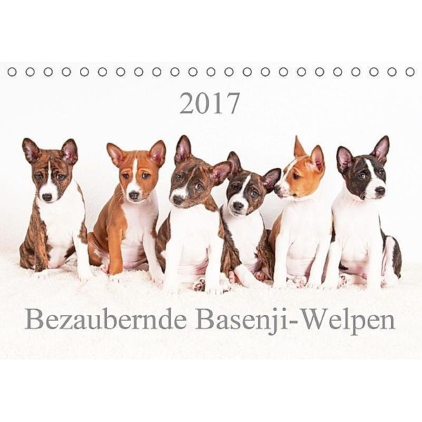 Bezaubernde Basenji-Welpen (Tischkalender 2017 DIN A5 quer), Angelika Joswig