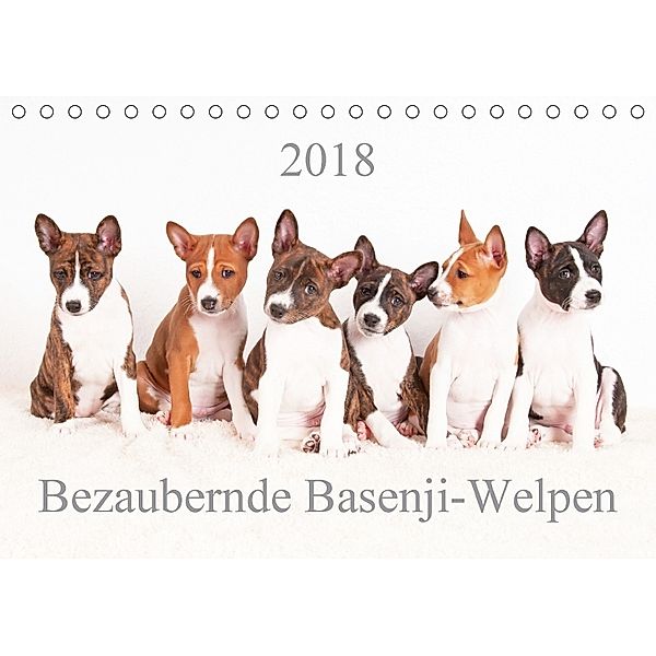 Bezaubernde Basenji-Welpen (Tischkalender 2018 DIN A5 quer), Angelika Joswig