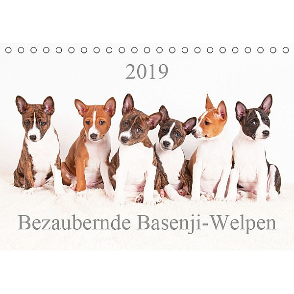 Bezaubernde Basenji-Welpen (Tischkalender 2019 DIN A5 quer), Angelika Joswig