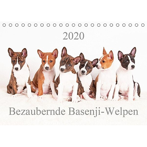 Bezaubernde Basenji-Welpen (Tischkalender 2020 DIN A5 quer), Angelika Joswig
