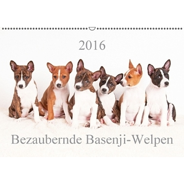 Bezaubernde Basenji-Welpen (Wandkalender 2016 DIN A2 quer), Angelika Joswig