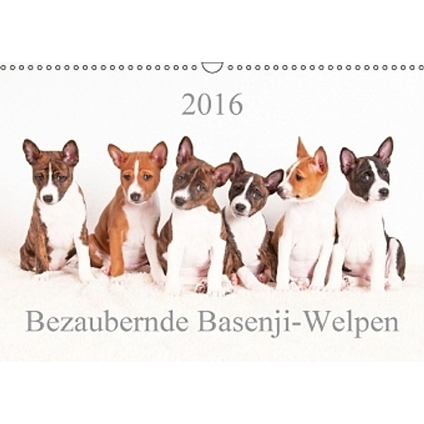 Bezaubernde Basenji-Welpen (Wandkalender 2016 DIN A3 quer), Angelika Joswig