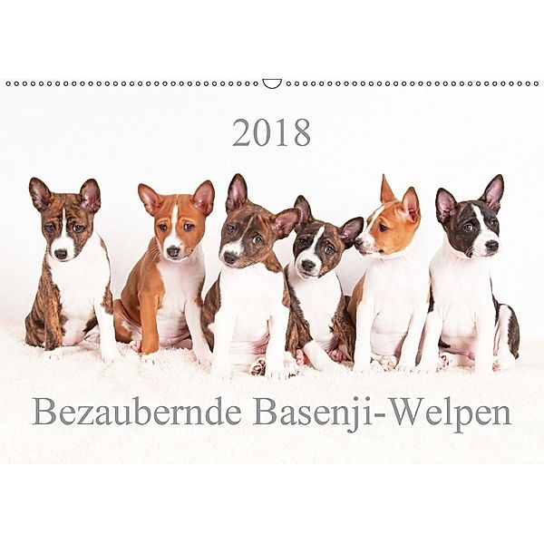 Bezaubernde Basenji-Welpen (Wandkalender 2018 DIN A2 quer), Angelika Joswig