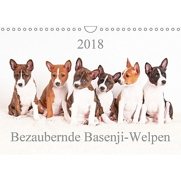 Bezaubernde Basenji-Welpen (Wandkalender 2018 DIN A4 quer), Angelika Joswig