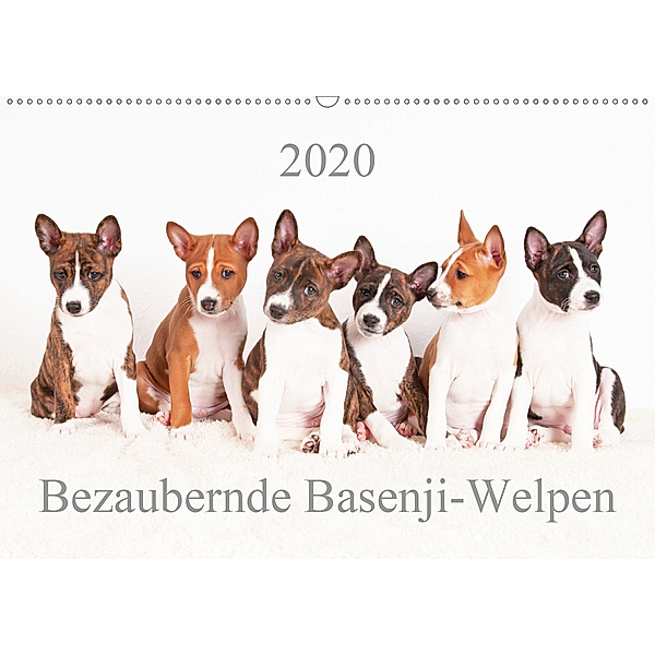 Bezaubernde Basenji-Welpen (Wandkalender 2020 DIN A2 quer), Angelika Joswig