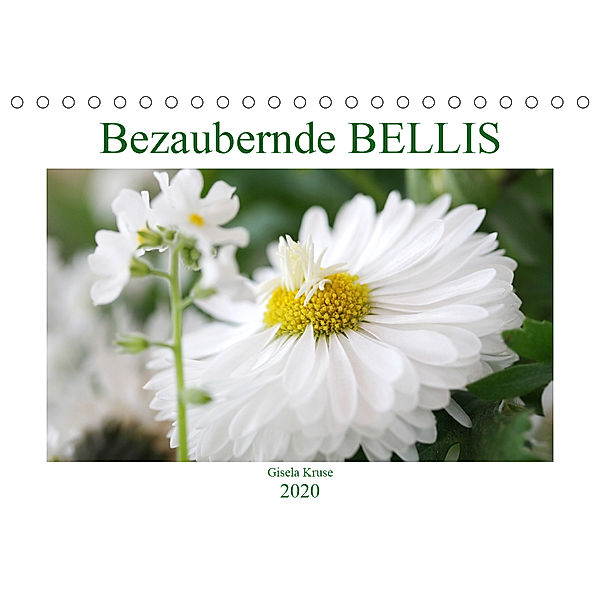 Bezaubernde Bellis (Tischkalender 2020 DIN A5 quer), Gisela Kruse