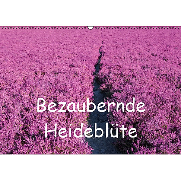 Bezaubernde Heideblüte (Wandkalender 2019 DIN A2 quer), Bo Valentino