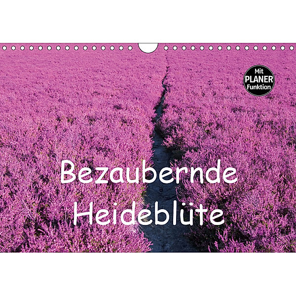 Bezaubernde Heideblüte (Wandkalender 2019 DIN A4 quer), Bo Valentino