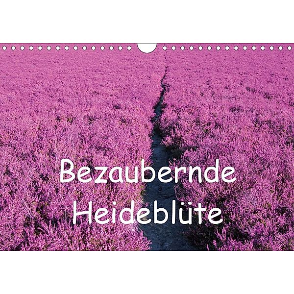 Bezaubernde Heideblüte (Wandkalender 2021 DIN A4 quer), Bo Valentino