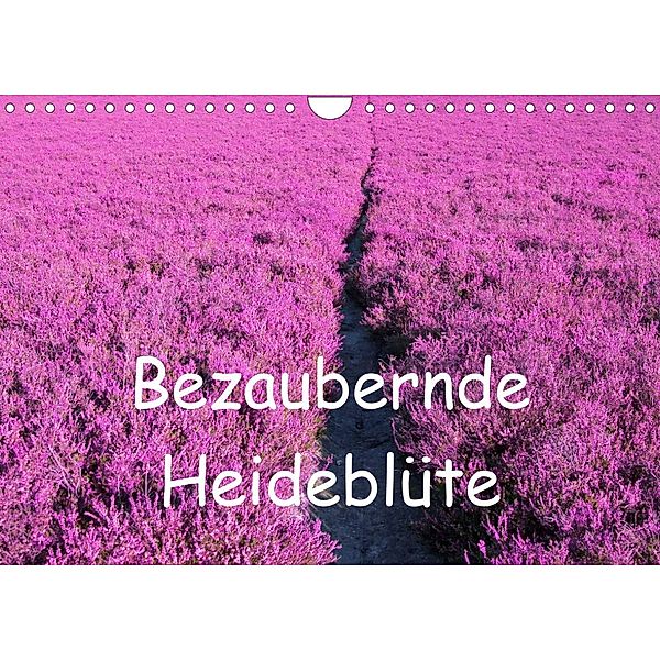 Bezaubernde Heideblüte (Wandkalender 2023 DIN A4 quer), Bo Valentino