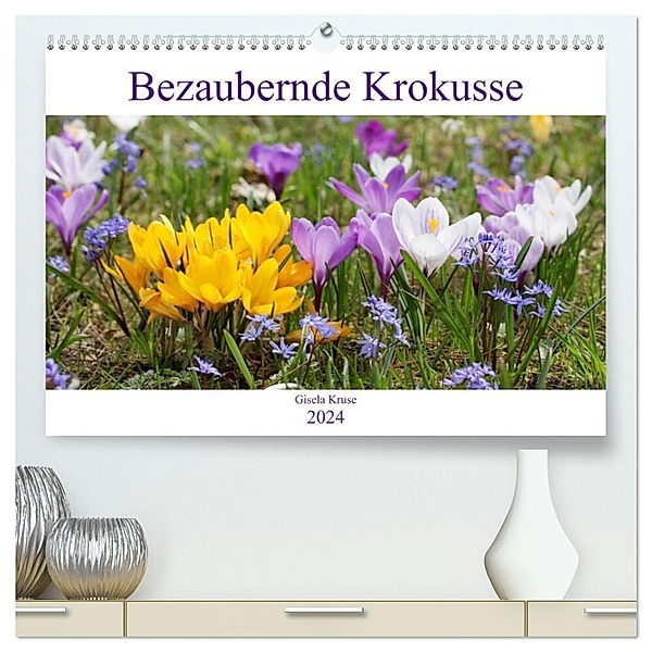 Bezaubernde Krokusse (hochwertiger Premium Wandkalender 2024 DIN A2 quer), Kunstdruck in Hochglanz, Gisela Kruse