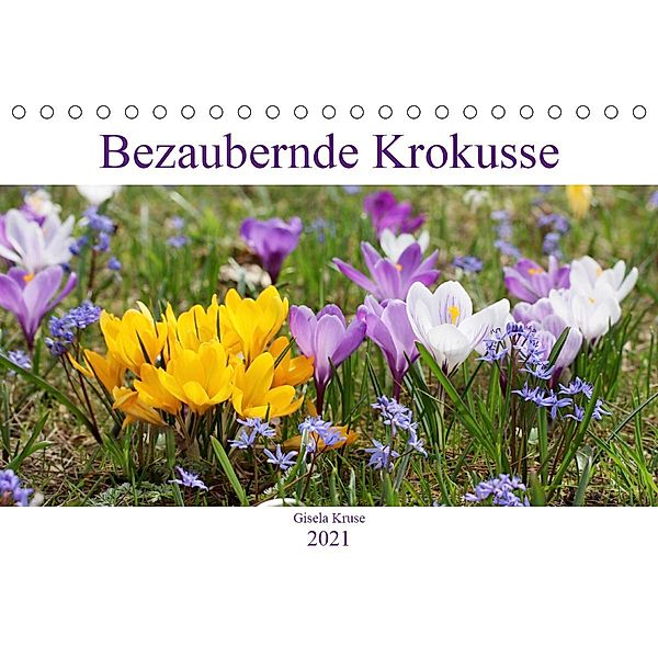 Bezaubernde Krokusse (Tischkalender 2021 DIN A5 quer), Gisela Kruse