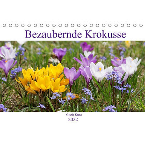 Bezaubernde Krokusse (Tischkalender 2022 DIN A5 quer), Gisela Kruse