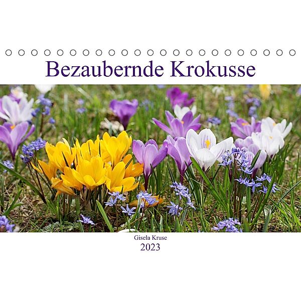 Bezaubernde Krokusse (Tischkalender 2023 DIN A5 quer), Gisela Kruse