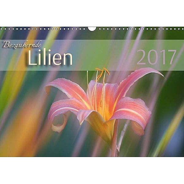 Bezaubernde Lilien (Wandkalender 2017 DIN A3 quer), Susanne Forrester