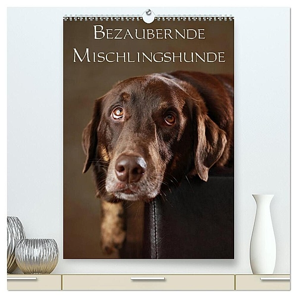 Bezaubernde Mischlingshunde (hochwertiger Premium Wandkalender 2024 DIN A2 hoch), Kunstdruck in Hochglanz, Jana Behr