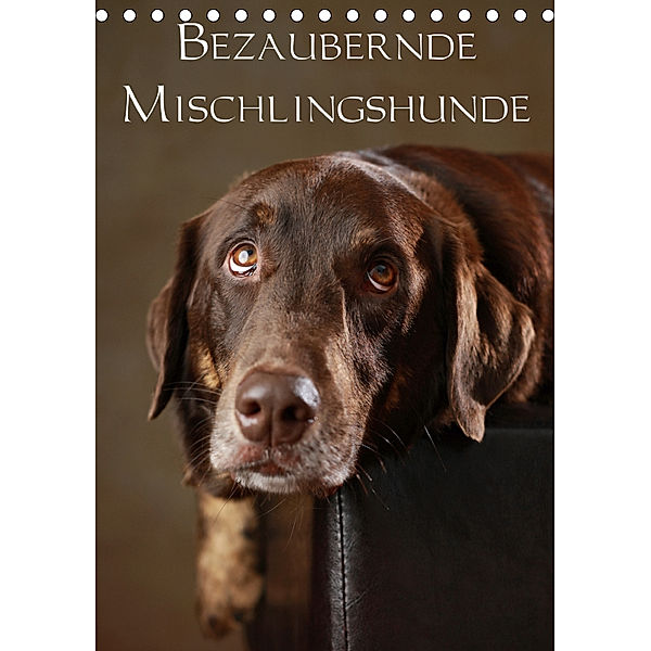 Bezaubernde Mischlingshunde (Tischkalender 2019 DIN A5 hoch), Jana Behr