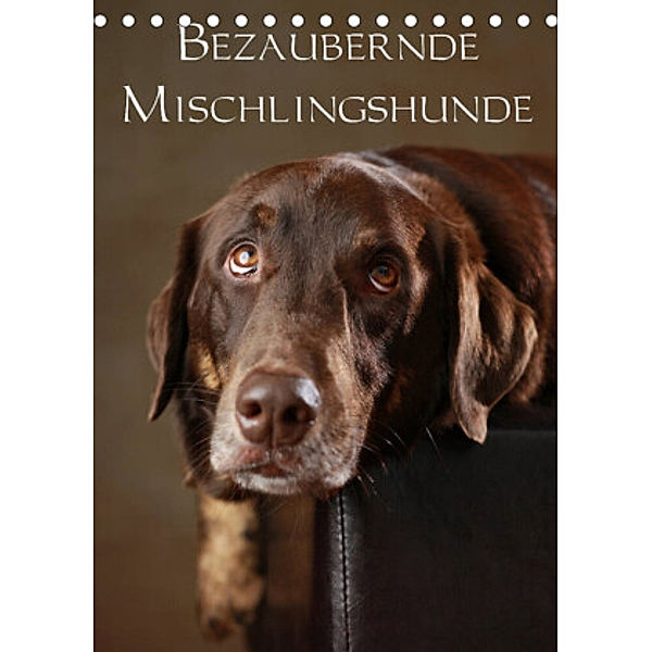 Bezaubernde Mischlingshunde (Tischkalender 2022 DIN A5 hoch), Jana Behr