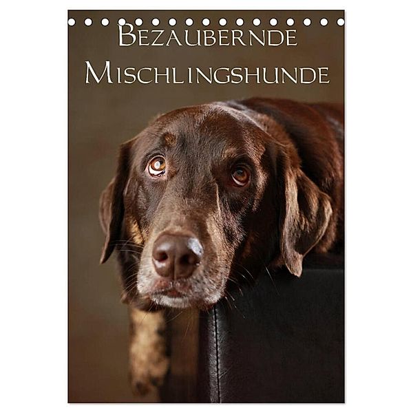 Bezaubernde Mischlingshunde (Tischkalender 2024 DIN A5 hoch), CALVENDO Monatskalender, Jana Behr