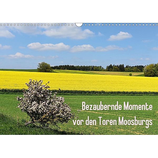 Bezaubernde Momente vor den Toren Moosburgs (Wandkalender 2021 DIN A3 quer), Brigitte Deus-Neumann
