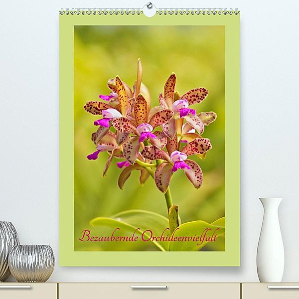 Bezaubernde Orchideenvielfalt (Premium, hochwertiger DIN A2 Wandkalender 2020, Kunstdruck in Hochglanz), Clemens Stenner