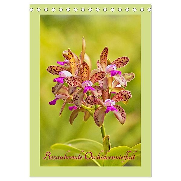 Bezaubernde Orchideenvielfalt (Tischkalender 2024 DIN A5 hoch), CALVENDO Monatskalender, Clemens Stenner