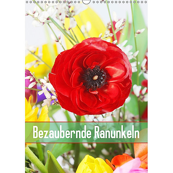 Bezaubernde Ranunkeln (Wandkalender 2019 DIN A3 hoch), Gisela Kruse