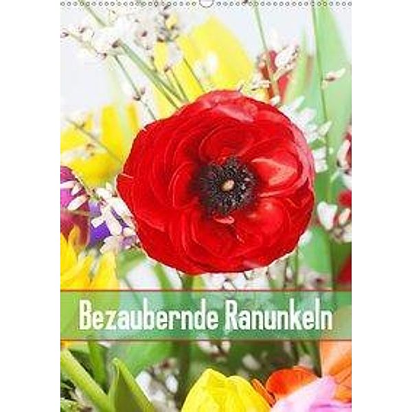 Bezaubernde Ranunkeln (Wandkalender 2020 DIN A2 hoch), Gisela Kruse