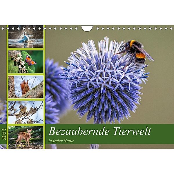 Bezaubernde Tierwelt in freier Natur (Wandkalender 2023 DIN A4 quer), Thorsten Assfalg Photographie