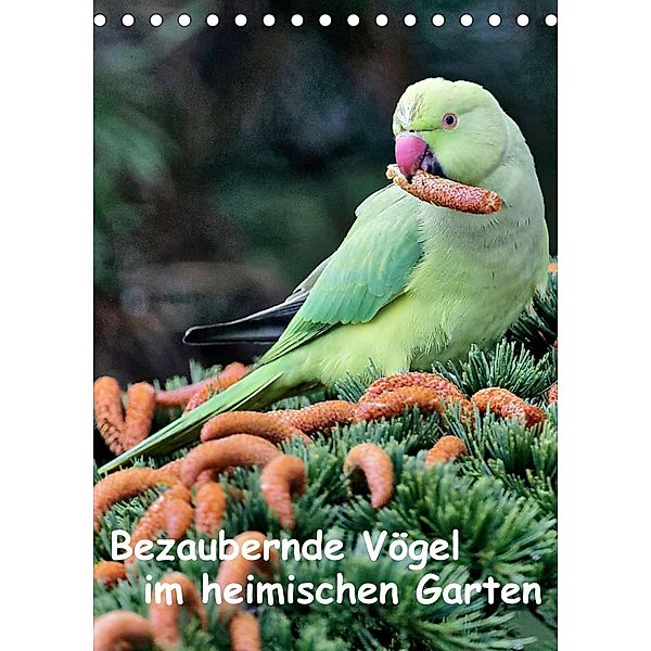 Bezaubernde Vögel im heimischen Garten (Tischkalender 2023 DIN A5 hoch), Dieter Wilczek