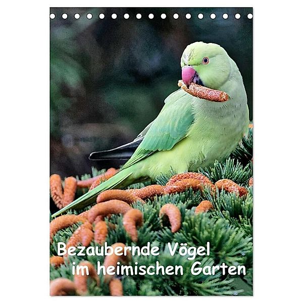 Bezaubernde Vögel im heimischen Garten (Tischkalender 2024 DIN A5 hoch), CALVENDO Monatskalender, Dieter Wilczek