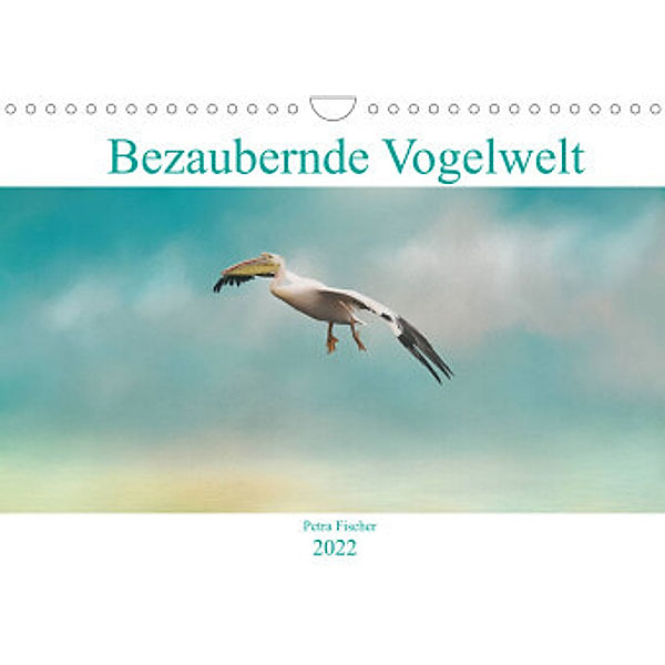 Bezaubernde VogelweltAT-Version  (Wandkalender 2022 DIN A4 quer), Petra Fischer