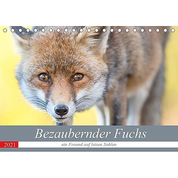 Bezaubernder Fuchs - ein Freund auf leisen Sohlen (Tischkalender 2021 DIN A5 quer), Perdita Petzl