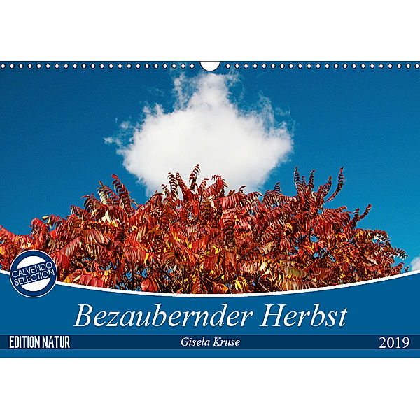 Bezaubernder Herbst (Wandkalender 2019 DIN A3 quer), Gisela Kruse