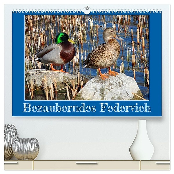 Bezauberndes Federvieh (hochwertiger Premium Wandkalender 2024 DIN A2 quer), Kunstdruck in Hochglanz, Gisela Kruse