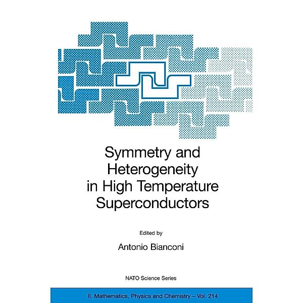 Bianconi, A: Symmetry and Heterogeneity in High Temperature