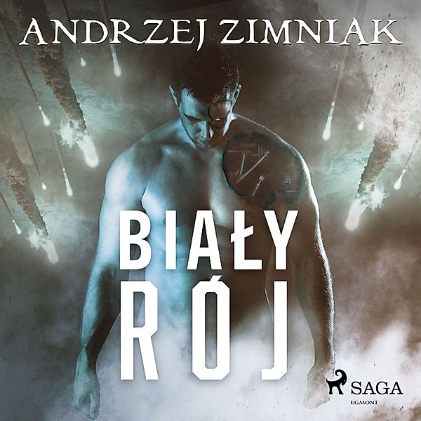 Biały rój, Andrzej Zimniak