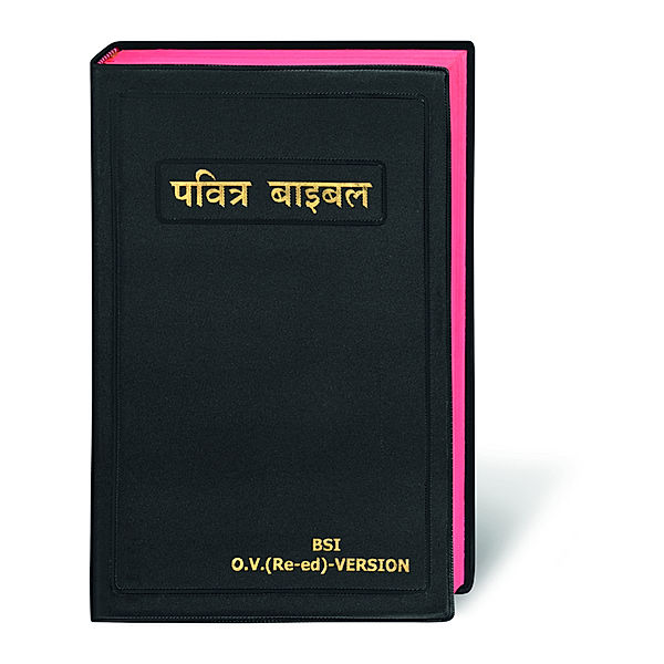 Bibel Hindi / Holy Bible Hindi, traditionelle Übersetzung
