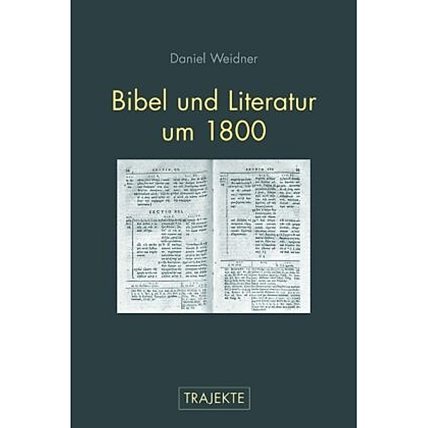 Bibel und Literatur um 1800, Daniel Weidner