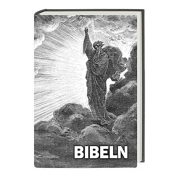 Bibeln - Bibel Schwedisch