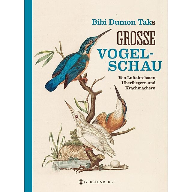 Bibi Dumon Taks große Vogelschau Buch versandkostenfrei bei Weltbild.de