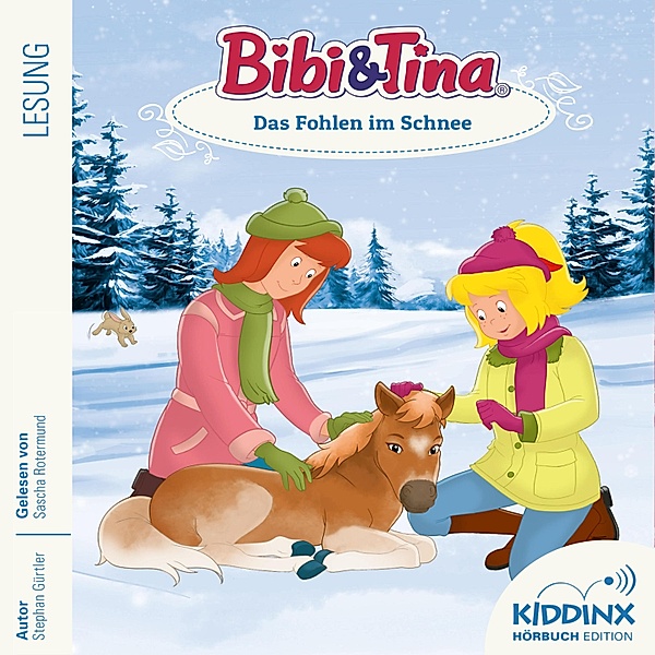 Bibi & Tina - 9 - Das Fohlen im Schnee, Stephan Gürtler